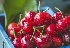 В Русенско реколтата от череши е унищоженаЗаоблени цени от 25