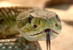 Пострадалата е в стабилно състояние след транспортиране до болницата в