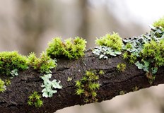 Екипите на РСПБЗН са реагирали на три сигнала за произшествия