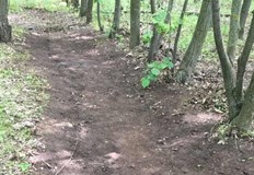 РДГ Велико Търново съставиха 14 акта за незаконен добив