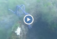 Находката е с внушителни размери и може да се окаже