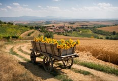 Валежи ще има само на изолирани места в планинитеВ четвъртък