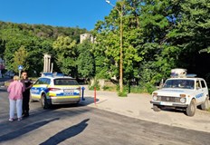 Шофьор съобщи че е видял хищника на главния път край