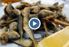 Ресторантьорите повишиха цените с 10 12 процента спрямо миналата годинаЛетният сезон