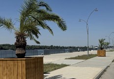 ОП Паркстрой постави екзотичните дървета в дървени кашпи на кеяКрайбрежната