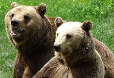 От малка бетонна клетка в Николово до просторен парк в