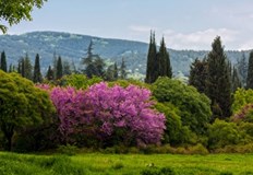 Инициативата за опазване на парк Бедечка в Стара Загора е