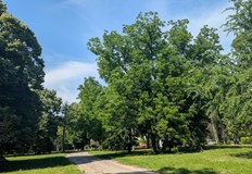 Досега най горещо на 25 юни е било през 2007 година