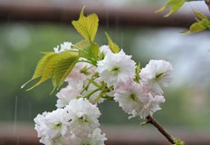 Максимални температури до 30 градуса очакват България утреАтмосферното налягане ще