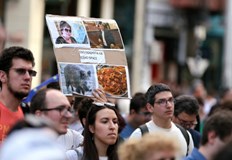 Стотици се събраха на протест под надслов Завинаги в Европа