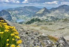 Пътник се е оплакал от болки в кракаЧастен самолет с