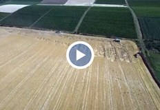 Милен Коев Докато не влязат комбайните е трудно да оценим