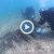 Водолази откриха турски кораб от 18-ти век край Созопол