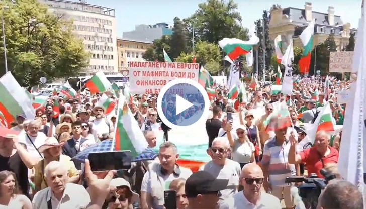 Демонстранти в София, Пловдив, Варна, Бургас и над 50 града настояват за референдум и запазване на лева