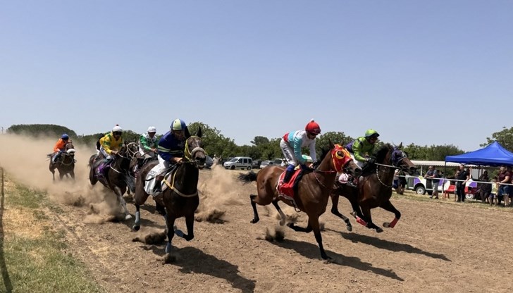 Елитни коне ще се състезават в пет категории