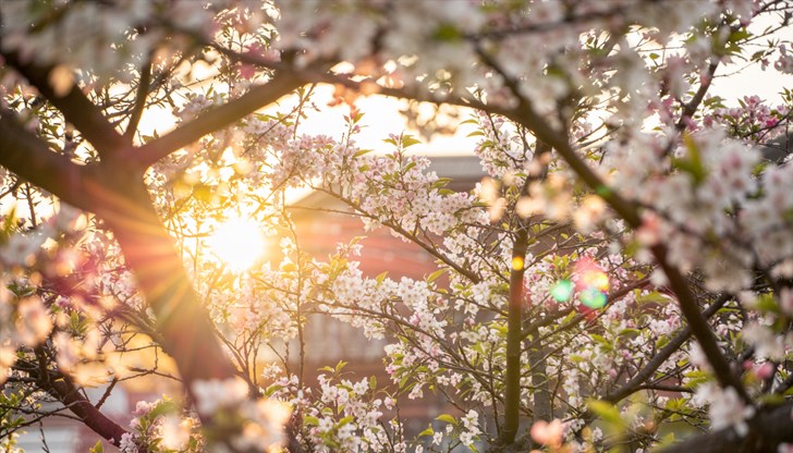 Изолирани краткотрайни валежи са възможни в планинските и източните райони на страната