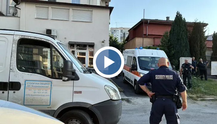 Пострадалите са откарани в "Пирогов" и ИСУЛ, породата на животното не е известна