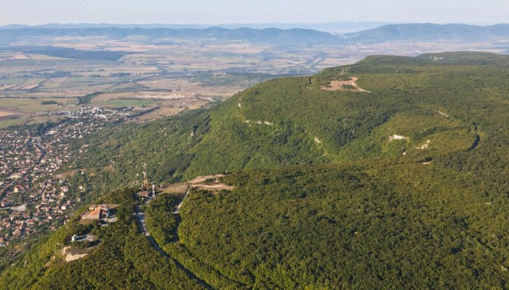 Експерти ще определят вида на животното, забелязано над Дивдядовските скали
