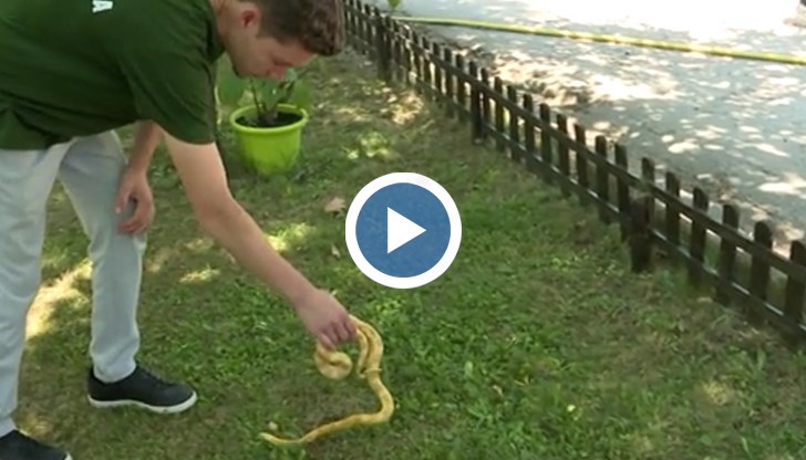 Общината получава около 20 сигнала годишно, но все още няма назначен специалист