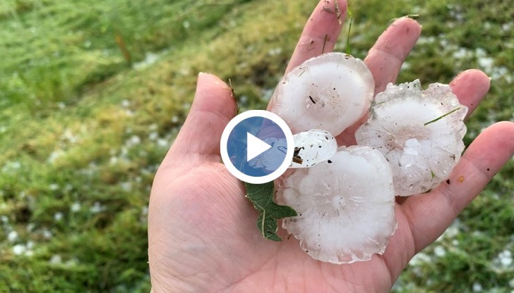 В Гърмен и Рибново 100% от земеделската продукция е съсипана, засегнати са 2500 декара