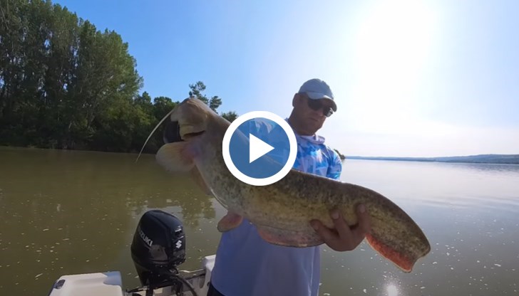 Методът "кльонк" отново доказа ефективността си при риболов на сом в първите дни на юни