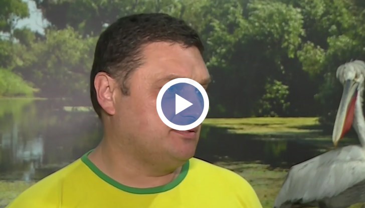 Страхът от хората е голям при това животно, обясни Красимир Киров