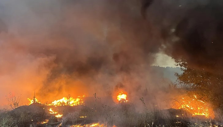 Най-сериозният край АМ "Тракия" затрудни движението, четири инцидента само в Шуменско Най-сериозният край АМ "Тракия" затрудни движението, четири инцидента само в Шуменско