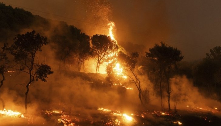 Властите разследват причините за три едновременни огнища на остров Хиос Властите разследват причините за три едновременни огнища на остров Хиос