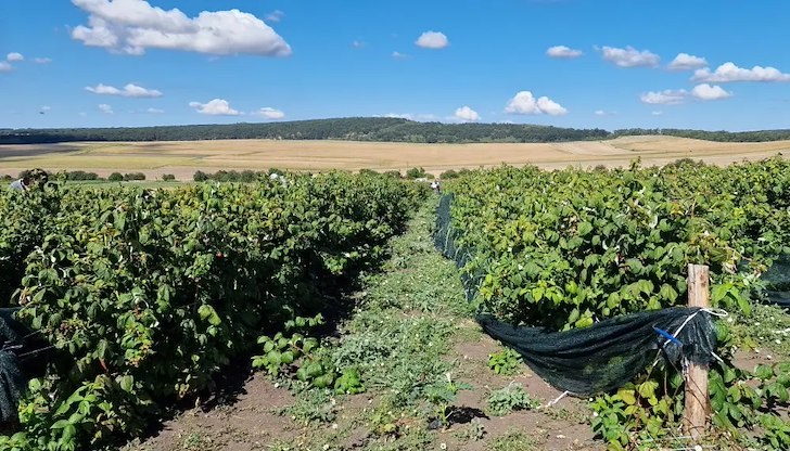 Напоителни системи ще получават компенсация от държавния бюджет като обществено-икономическа услуга Напоителни системи ще получават компенсация от държавния бюджет като обществено-икономическа услуга