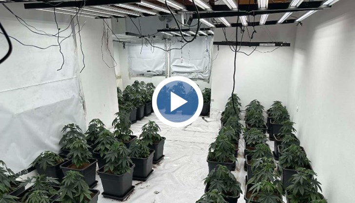 Задържан е 32-годишен мъж при акция в кварталите "Бояна" и "Драгалевци"