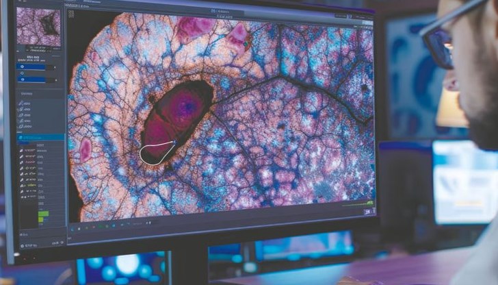 ​Революционният модел crossNN разпознава 170 вида тумори чрез анализ на генетичния материал