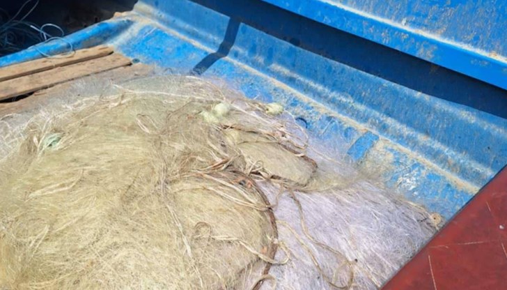 Инспектори спасиха и върнаха във водоема 16 килограма шаран и платика