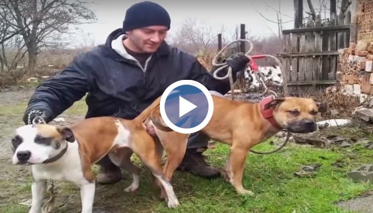 По случая има задържан