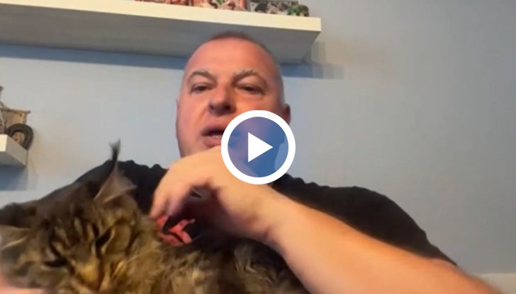 Шуменското плато отново е отворено