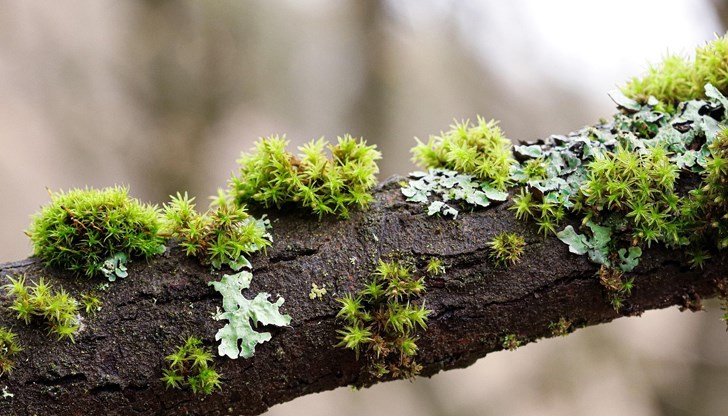 Екипите на РСПБЗН са реагирали на три сигнала за произшествия на 14 юни