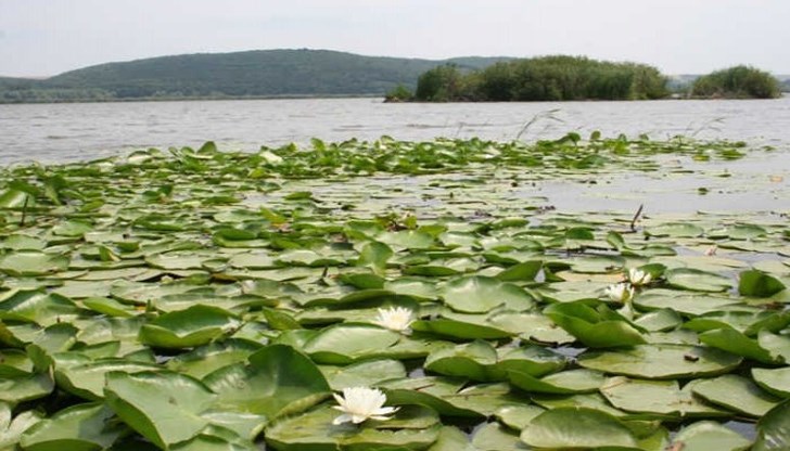 Експерти на РИОСВ – Русе с учени от БАН ще търсят решения за водния режим на езерото