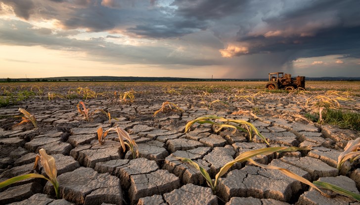 Земеделските стопани под риск от бури и градушки през лято 2025 Земеделските стопани под риск от бури и градушки през лято 2025