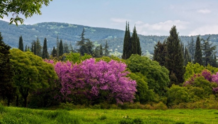 Инициативата за опазване на парк "Бедечка" в Стара Загора е отличена в категория "Гражданска активност" Инициативата за опазване на парк "Бедечка" в Стара Загора е отличена в категория "Гражданска активност"