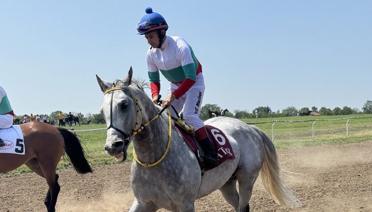 Над 60 коня от елитни породи се включиха в надпреварата