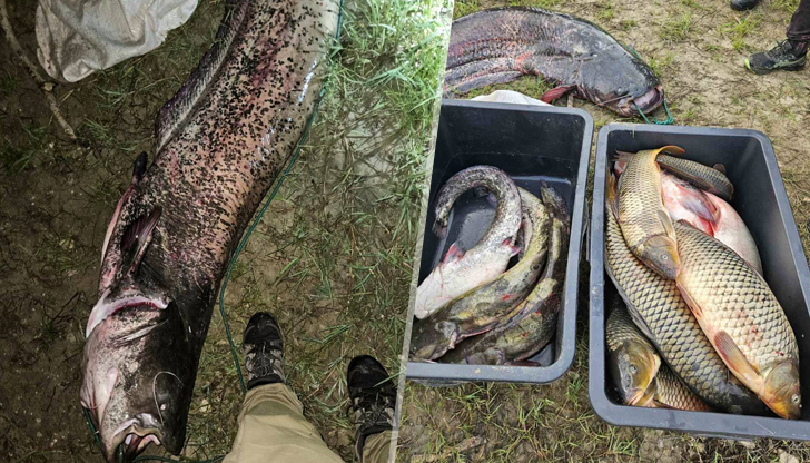 Електрическото устройство е предадено на служителите на ИАРАТрима мъже бяха