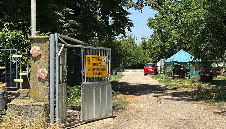 Възнаграждението е 3000 лева при утвърден работен графикОбщинският приют за