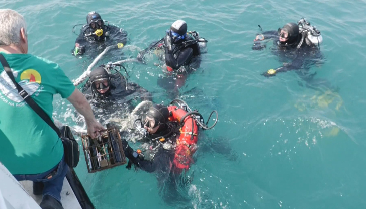 В морските дълбини на 15 метра вече има шест атрактивни
