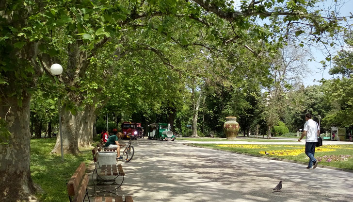 Сигнали до 112 и Общината не водят до действия, а