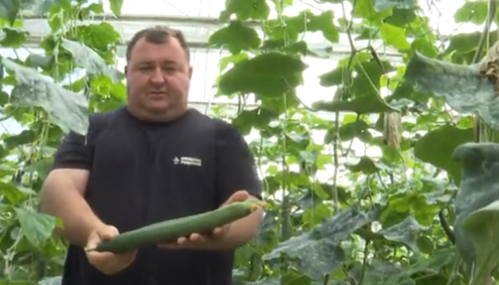 Иван Кабуров от село Мало Конаре: Кравите ще се наслаждават