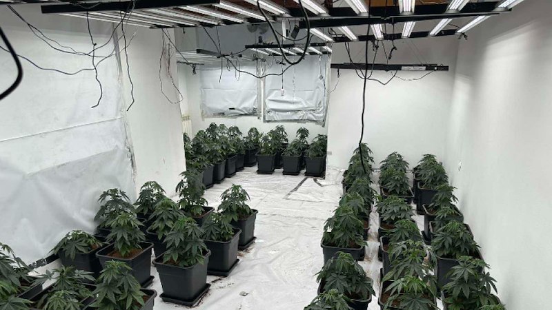 Задържан е 32-годишен мъж при акция в кварталите Бояна и