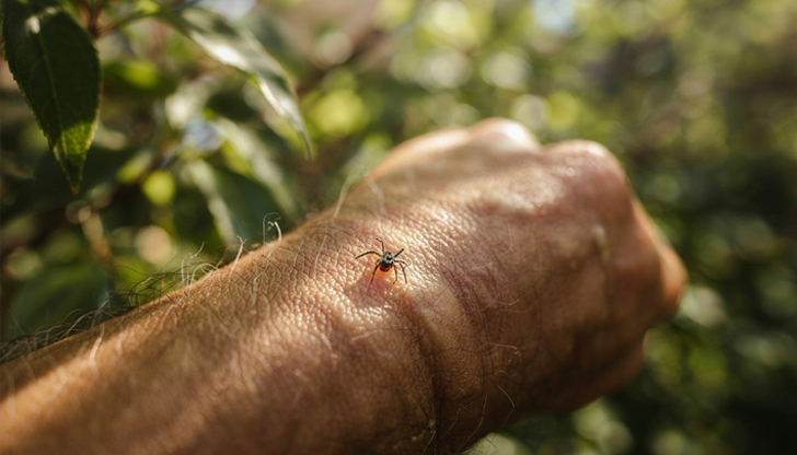 Лекарка от същата болница също се разболя, но състоянието й
