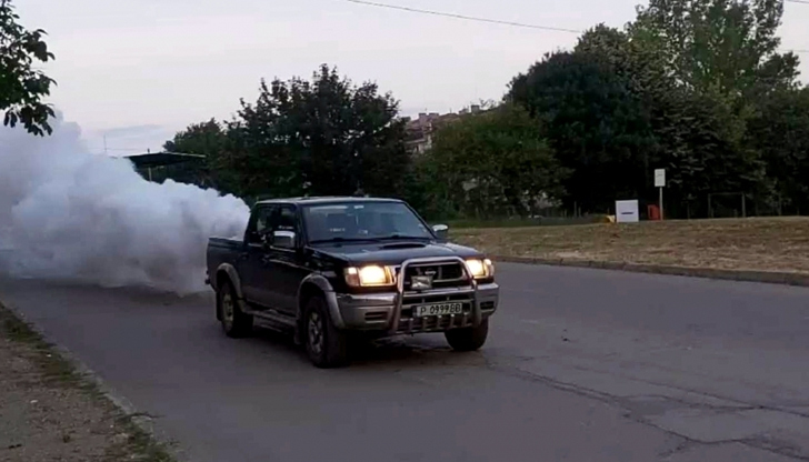 Дезинсекцията започва утре вечер и продължава до четвъртък включителноОбщина Русе