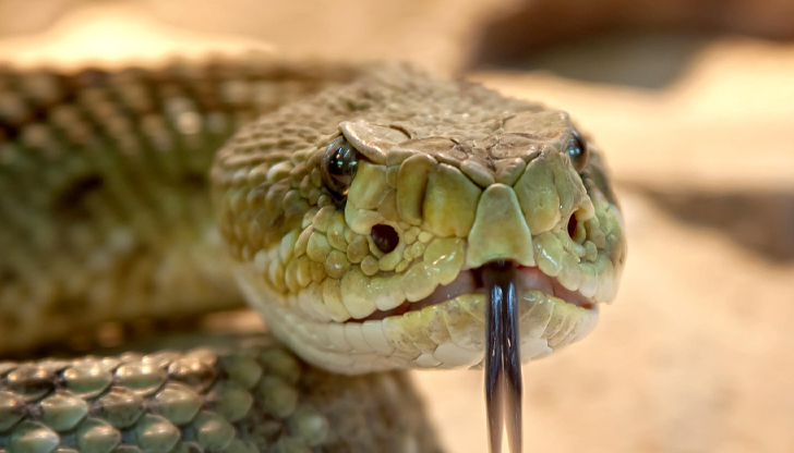 Пострадалата е в стабилно състояние след транспортиране до болницата в