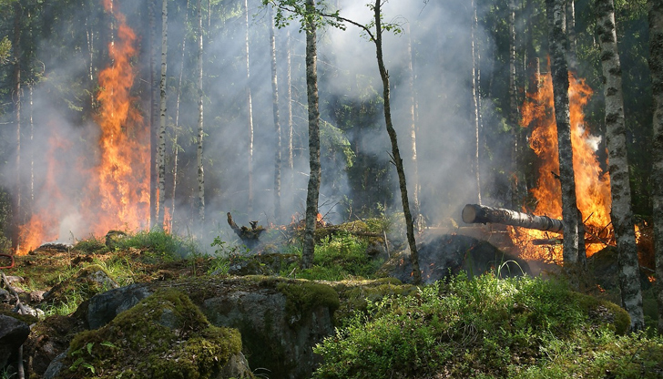 Пламъците са тръгнали късно през нощтаГолям пожар продължава да гори