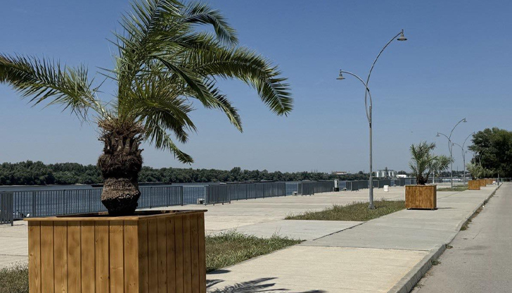 ОП Паркстрой постави екзотичните дървета в дървени кашпи на кеяКрайбрежната